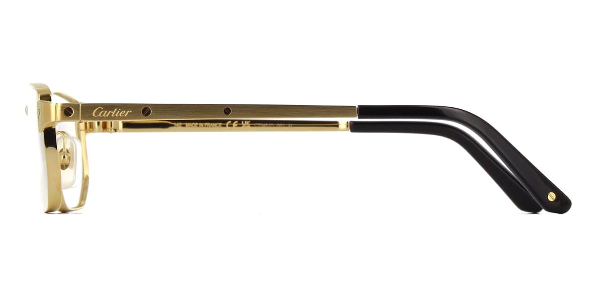 Cartier CT0481O
