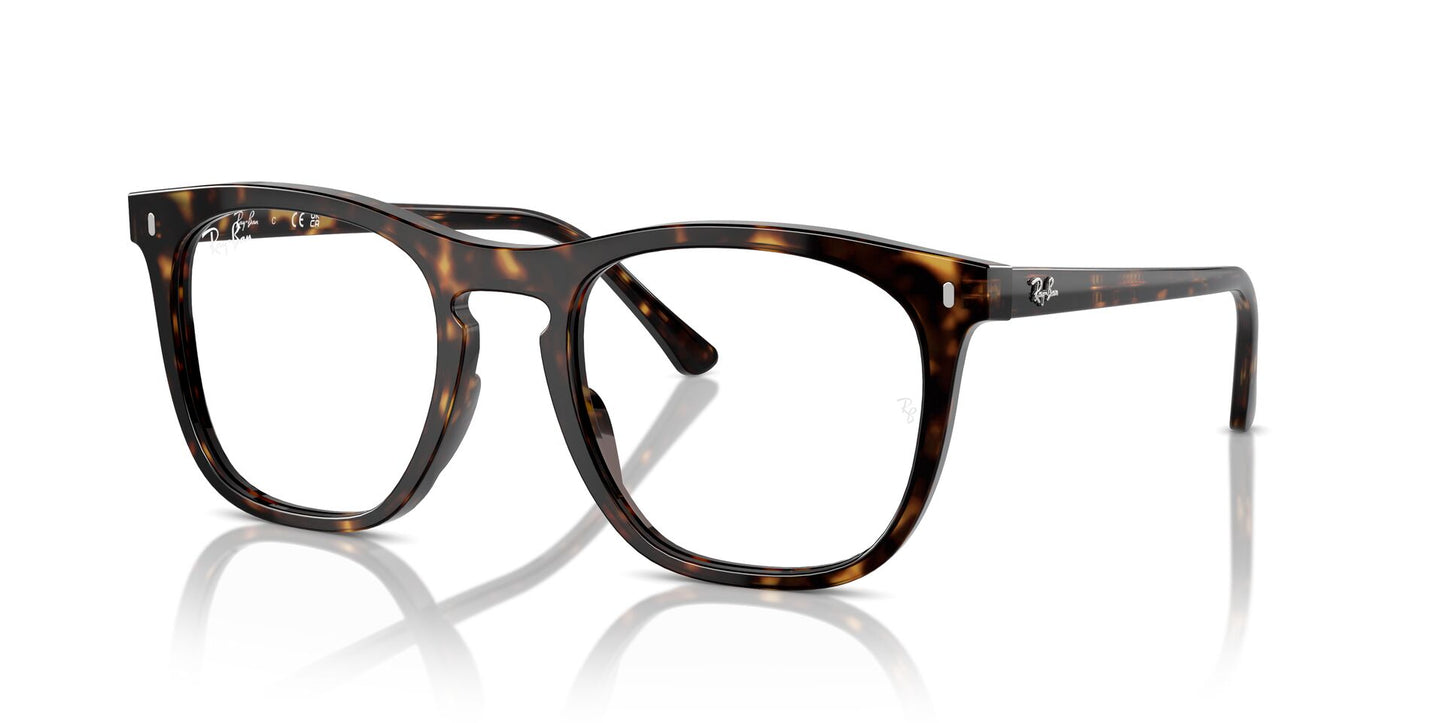 Ray-Ban RB2210V