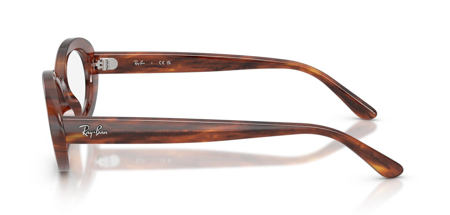 Ray-Ban RB2223V