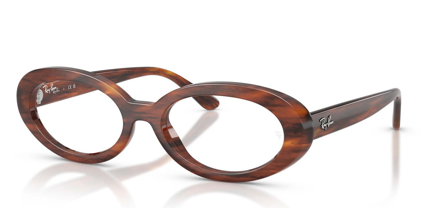 Ray-Ban RB2223V