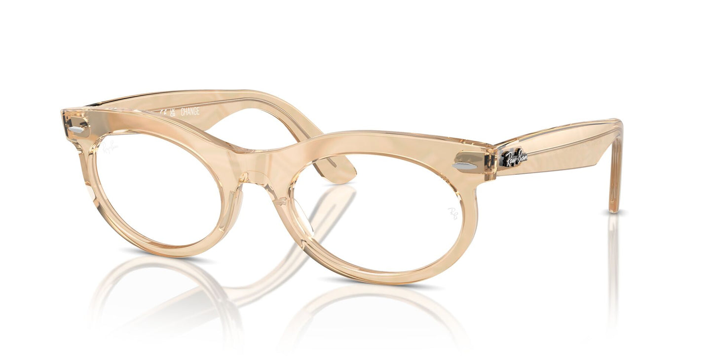 Ray-Ban Wayfarer Oval RB2242V