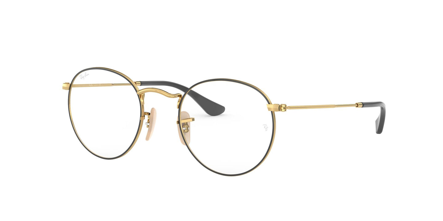 Ray-Ban RB3447V