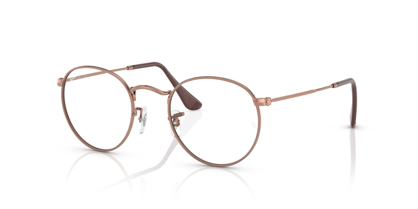 Ray-Ban RB3447V