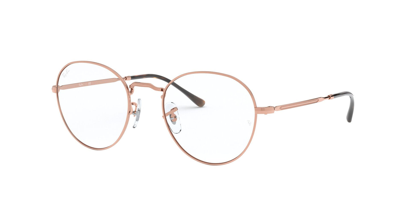 Ray-Ban RB3582V