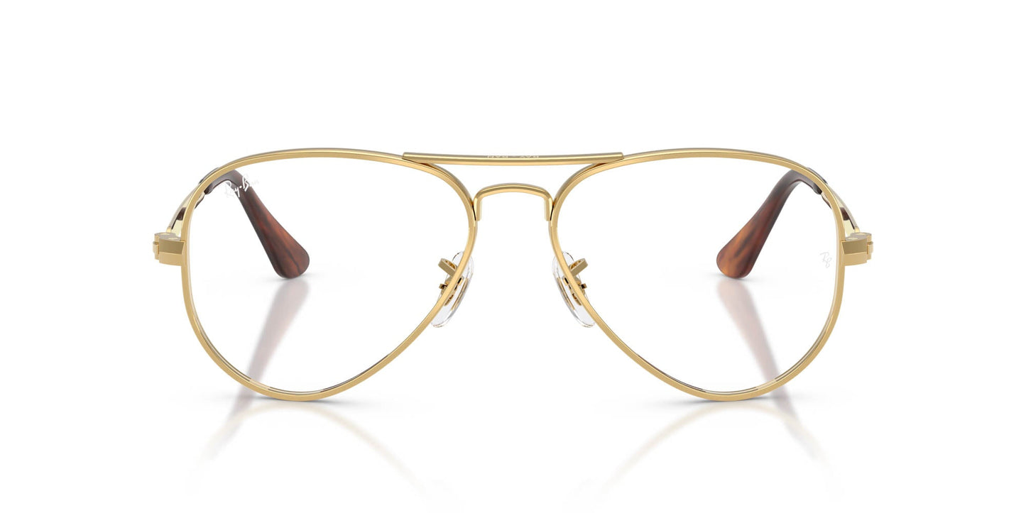 Ray-Ban Aviator Max RB3925V