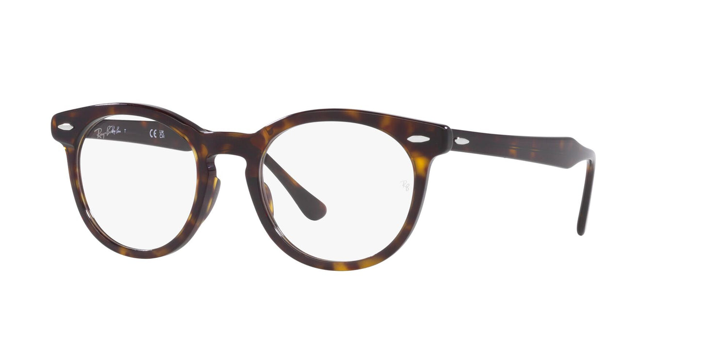 Ray-Ban Eagleeye RB5598