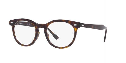 Ray-Ban Eagleeye RB5598