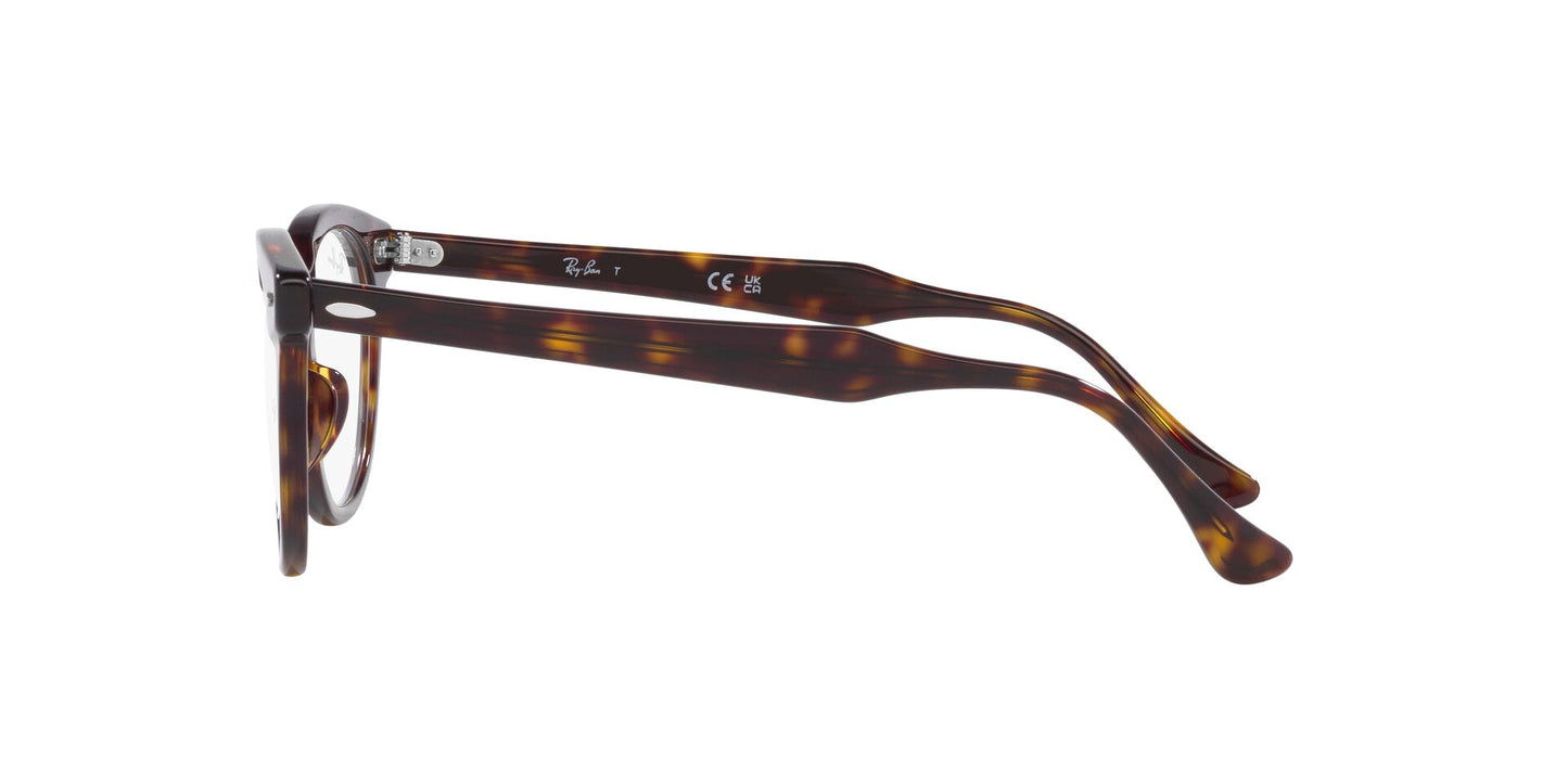 Ray-Ban Eagleeye RB5598