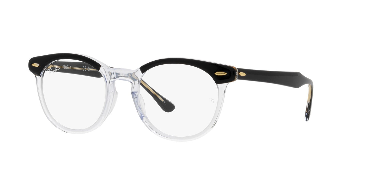 Ray-Ban Eagleeye RB5598