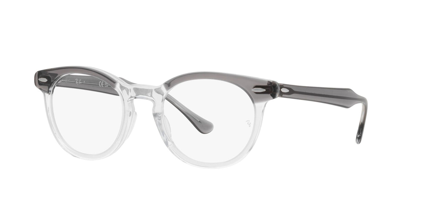 Ray-Ban Eagleeye RB5598