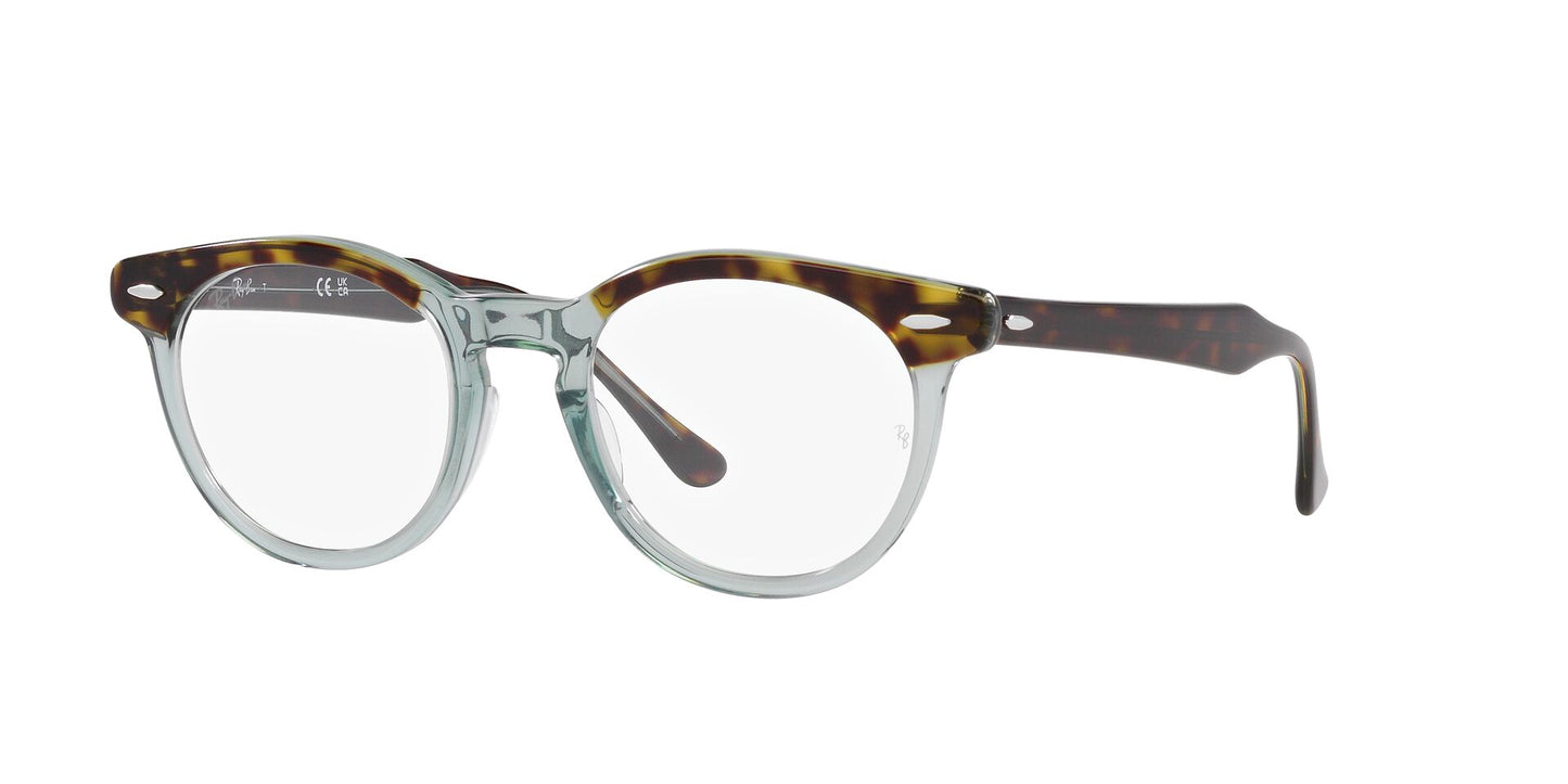 Ray-Ban Eagleeye RB5598