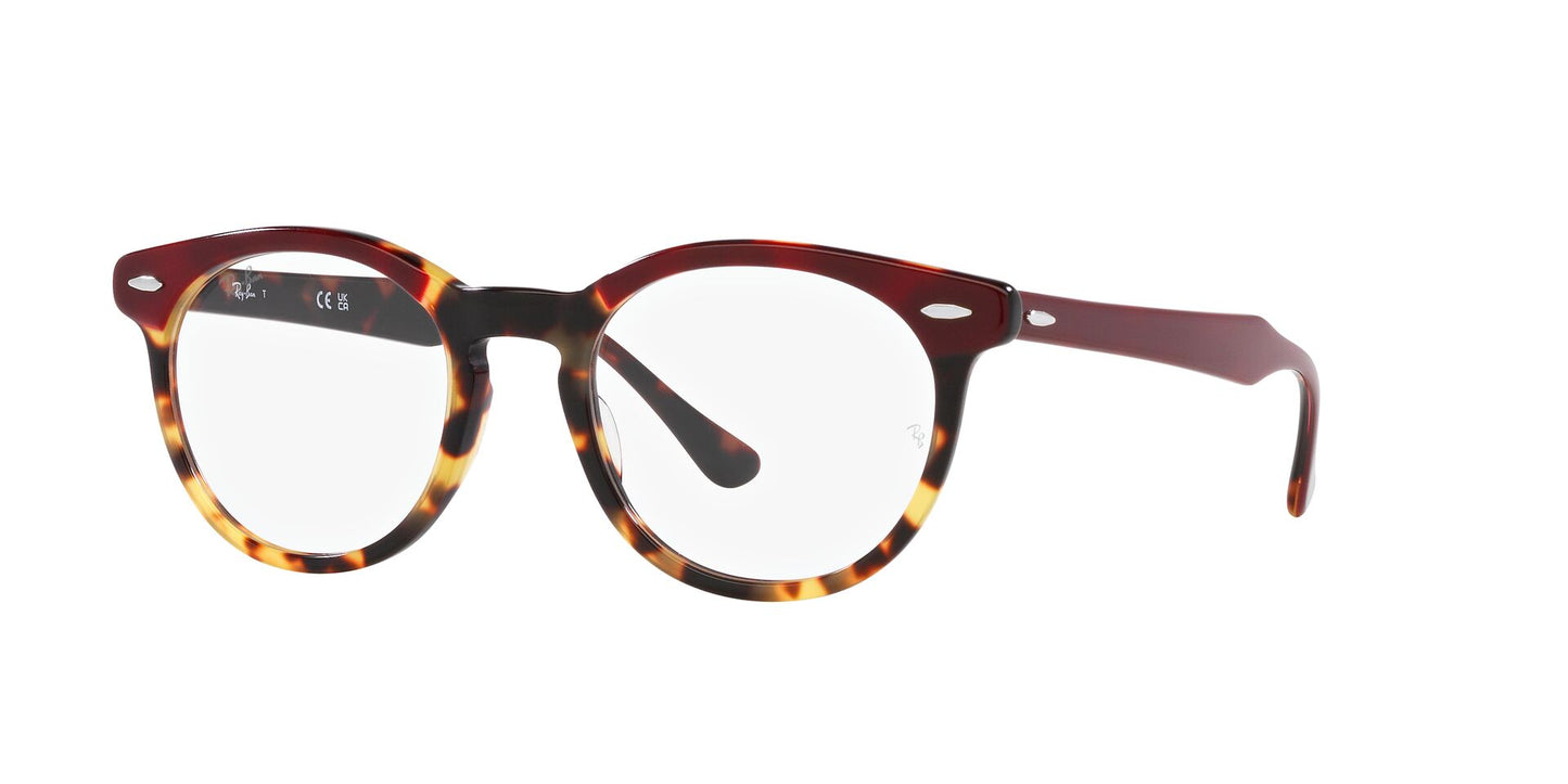 Ray-Ban Eagleeye RB5598