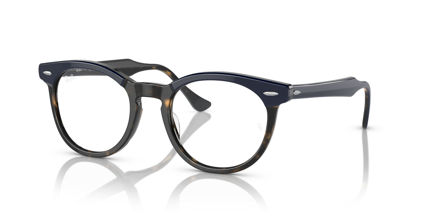 Ray-Ban Eagleeye RB5598