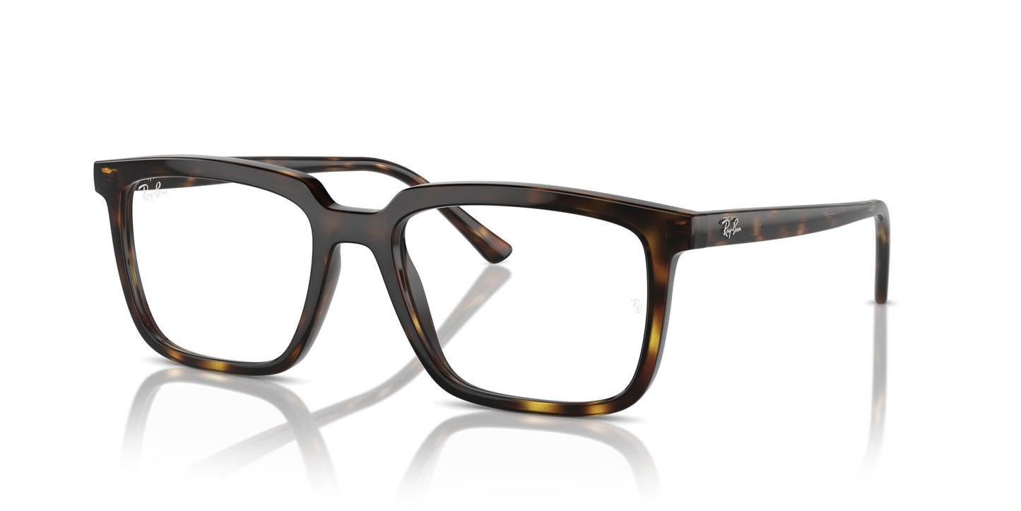 Ray-Ban Alain RB7239