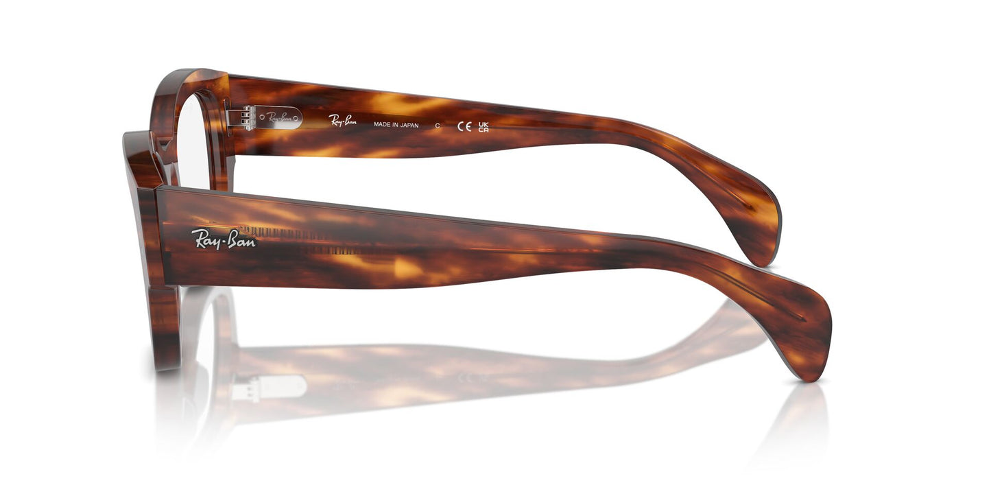 Ray-Ban Jorge RB7681V