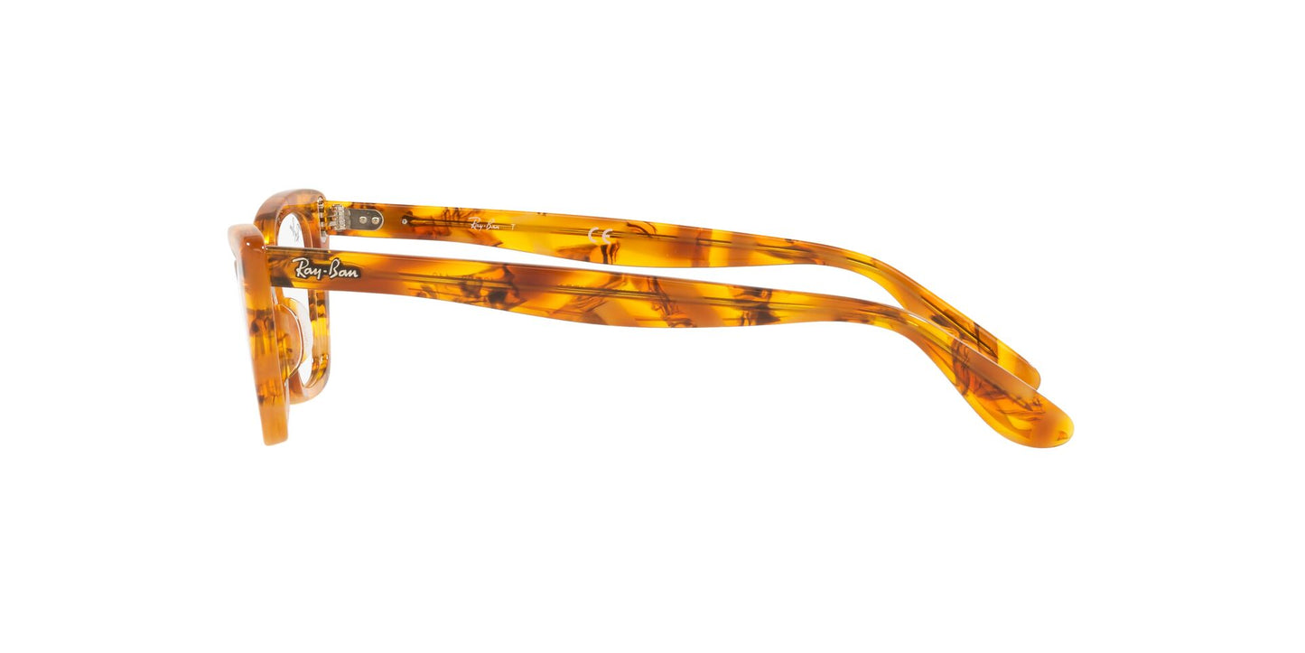 Ray-Ban Lady Burbank RB5499