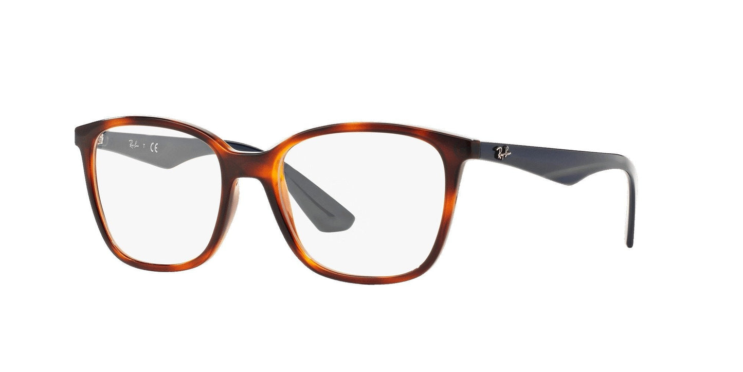 Ray-Ban RB7066