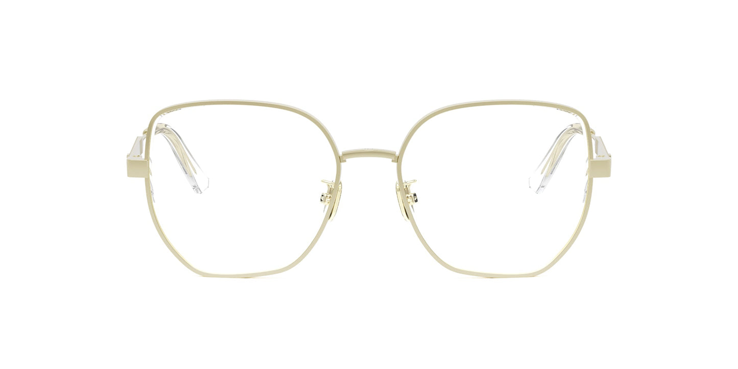 Dior CannageO B2U