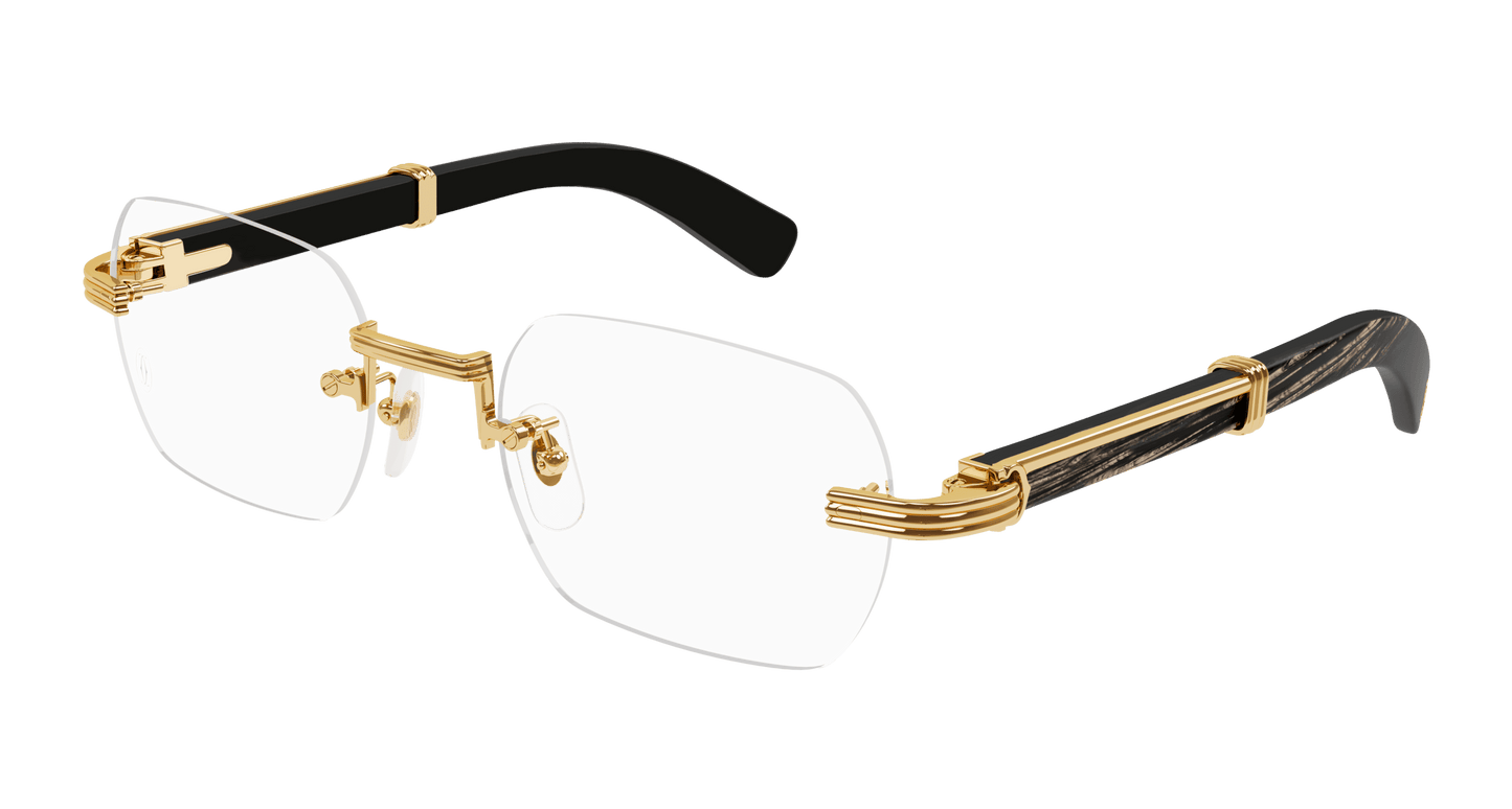 Cartier CT0377O