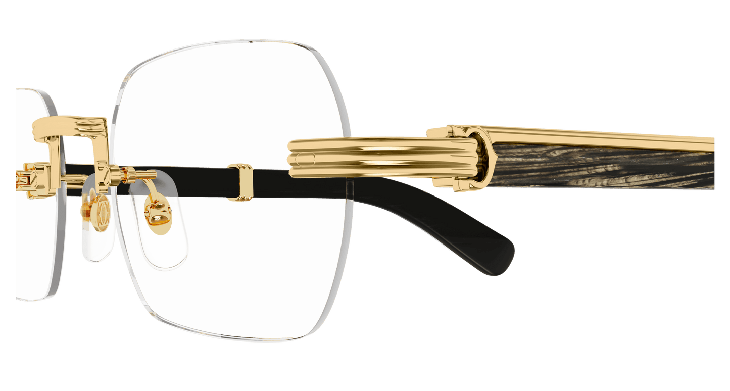 Cartier CT0377O