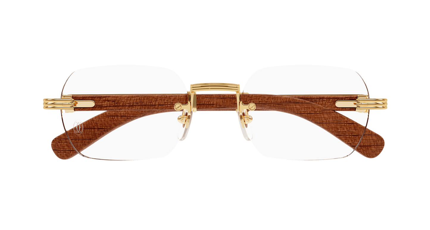 Cartier CT0377O