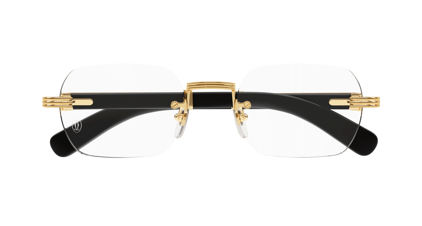 Cartier CT0377O