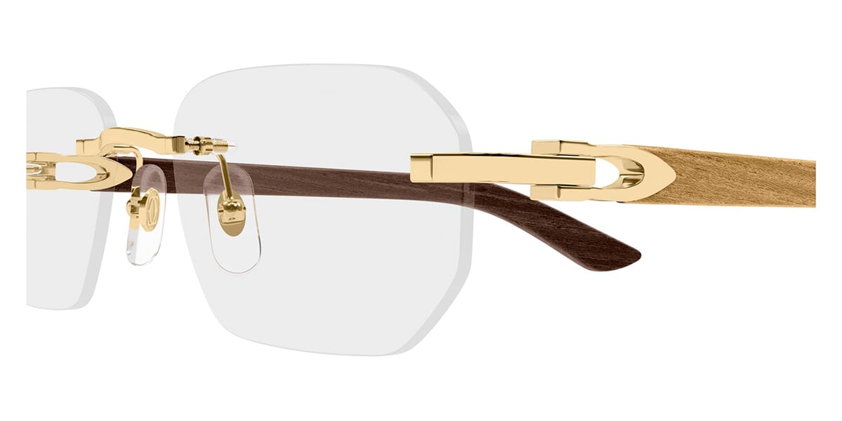 Cartier CT0583O