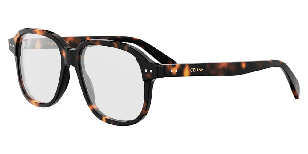CELINE Thin CL50171I
