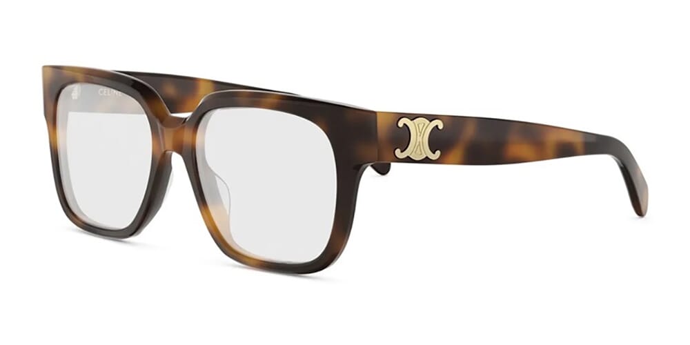 Celine Triomphe CL50172I