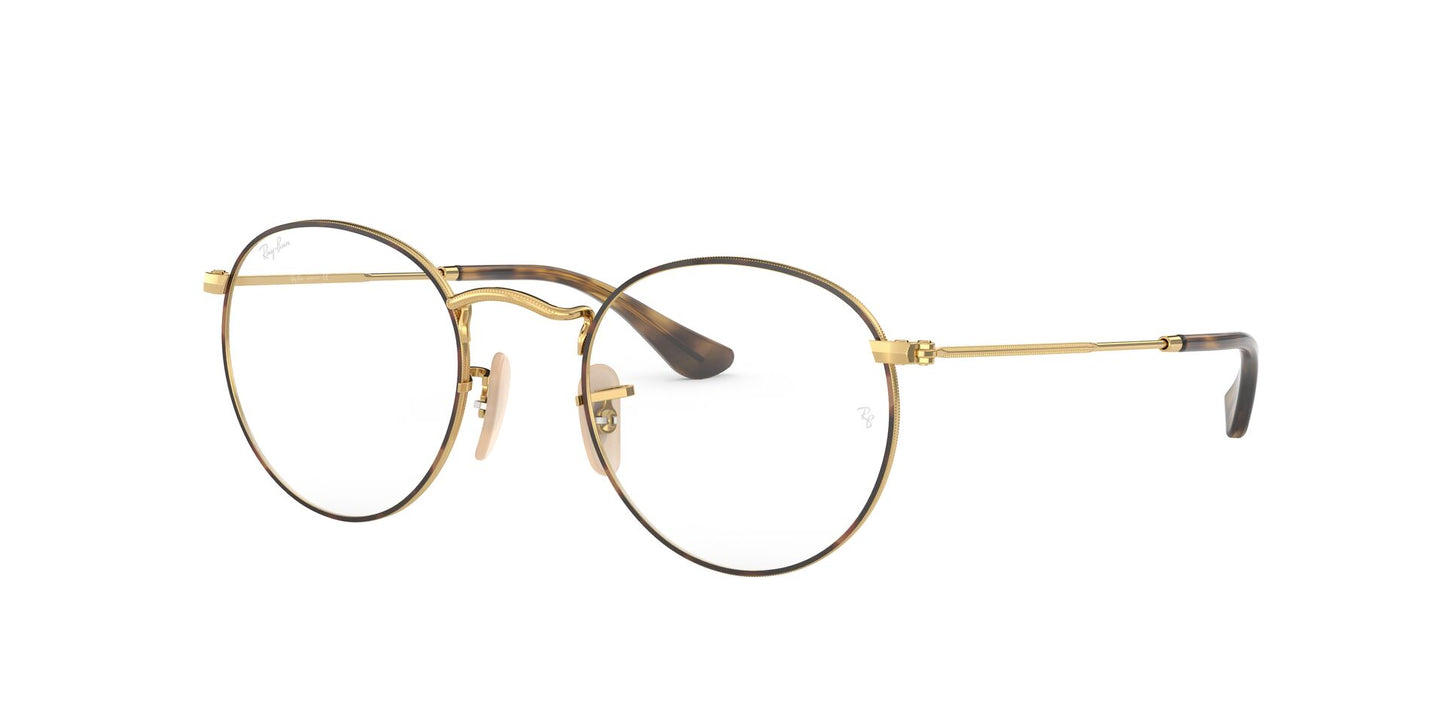 Ray-Ban RB3447V