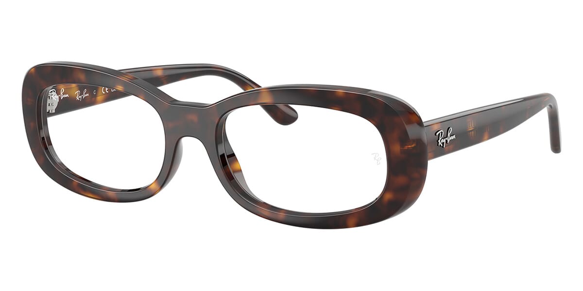 Ray-Ban RB2221V