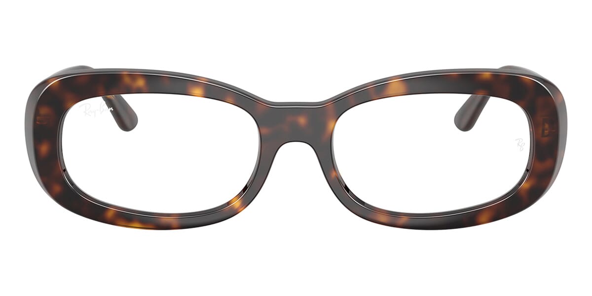 Ray-Ban RB2221V