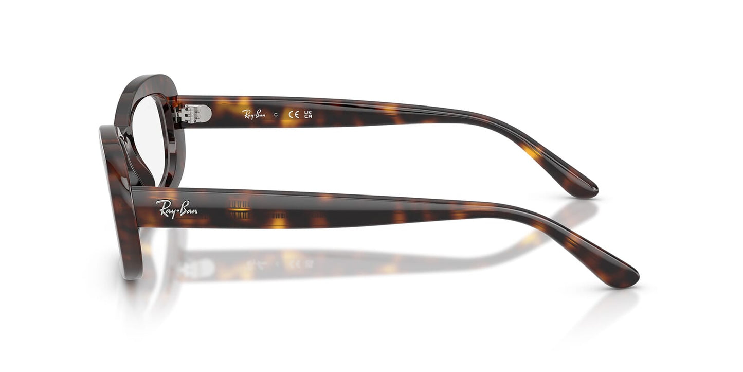 Ray-Ban RB2221V