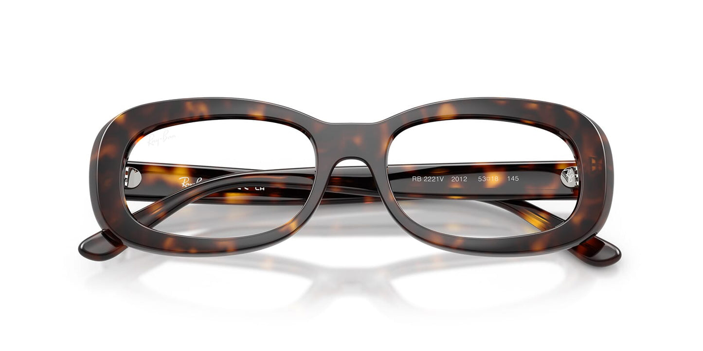Ray-Ban RB2221V