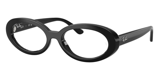 Ray-Ban RB2223V