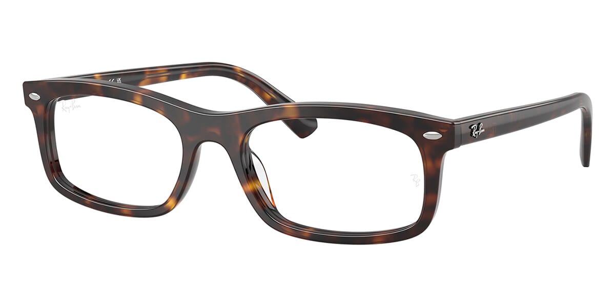 Ray-Ban RB5450